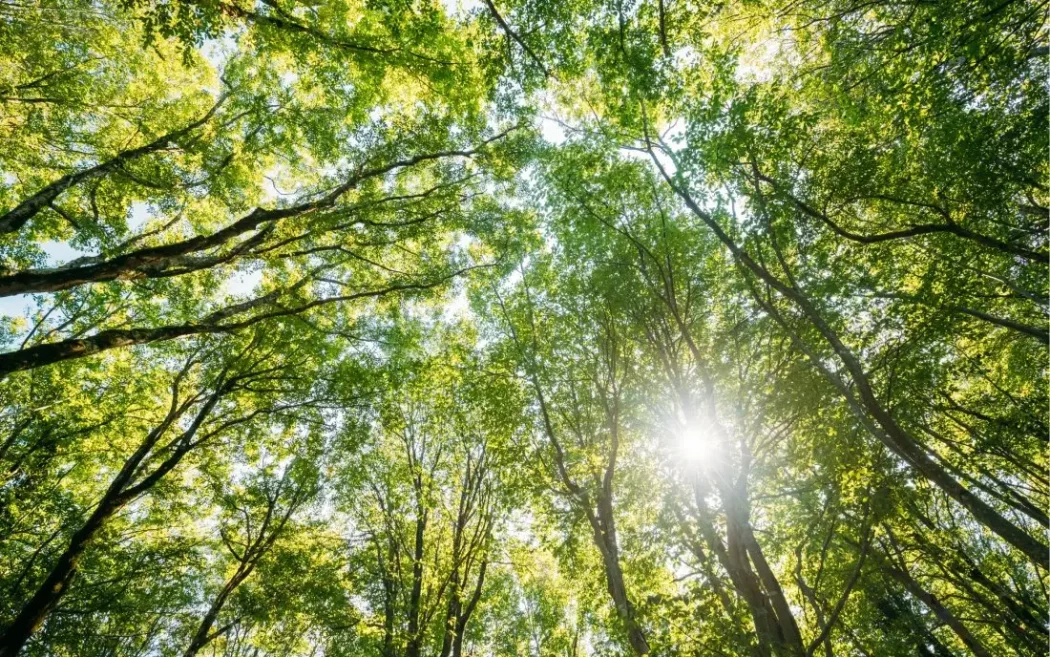 Слънце и вятър над Кърджали: До 32°C без шанс за дъжд