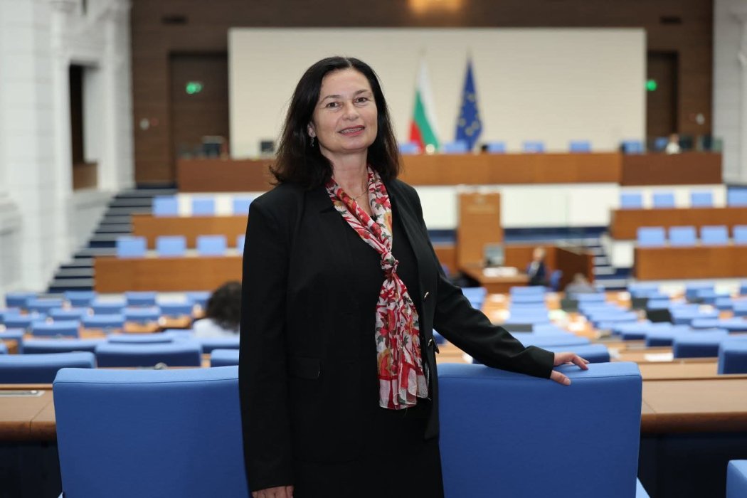 Нихал Йозерган пое ключова роля в парламента: оглави групата за приятелство с Турция