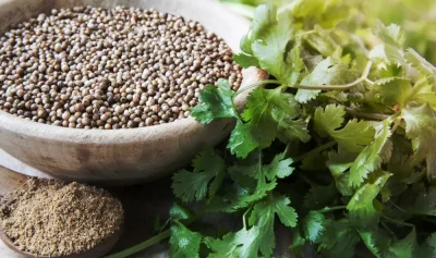 Тази подправка може да подпомогне сърдечносъдовото здраве