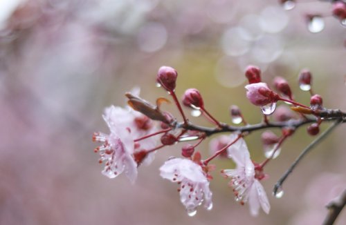 Променливо време с възможни превалявания в Кърджали