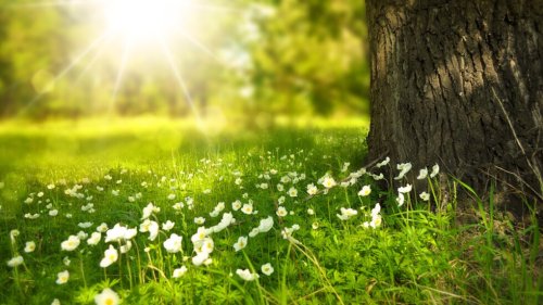 Слънчево и топло време в Кърджали на 19 април