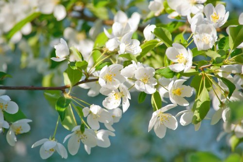 Приятно пролетно време в Кърджали на 14 април