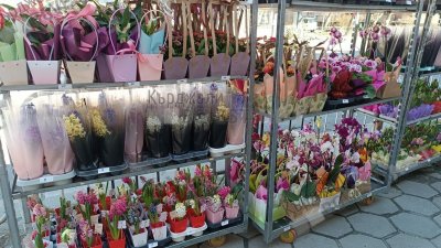 Кърджали се готви за цветна &bdquo;буря&ldquo; на 8 март: магазините минават на пълни обороти