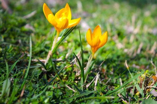 Пролетен уикенд с приятно време в Кърджали