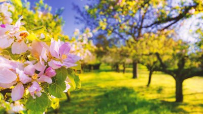 Седмична прогноза за времето в Кърджали