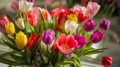 Честит празник на всички дами!