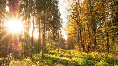 Времето днес: Слънчево време и температури до 15&deg; в България
