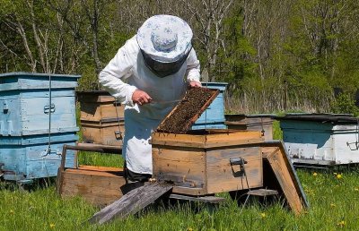 Семинар в Кърджали разкри съвременните методи за подхранване на пчелни семейства