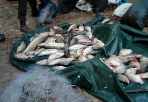 Полицията хвана бракониер със 132 кг риба от &bdquo;Студен кладенец&ldquo; &ndash; колата била и с табела за друго МПС