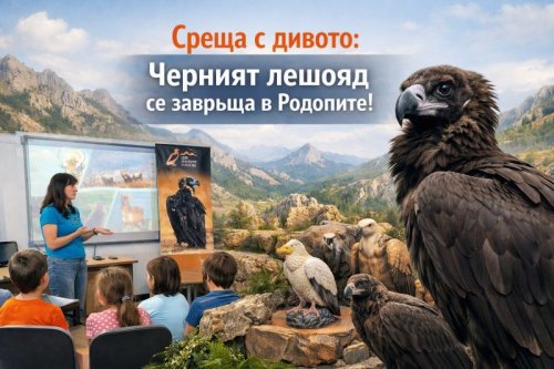 Завръщането на черния лешояд: Детската библиотека в Черноочене кани на вдъхновяващо еко пътешествие