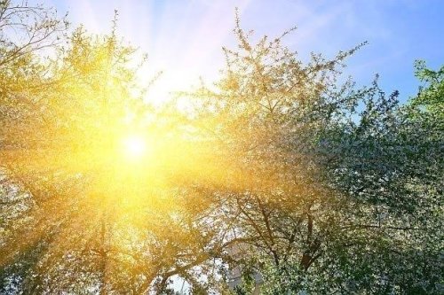 Слънчево и горещо време очаква Кърджали на 21 юни