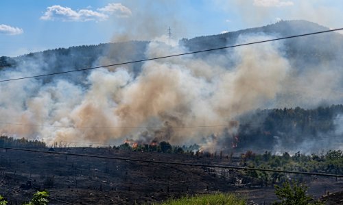 Пожар край Кърджали: пламнаха 20 декара сухи треви и храсти