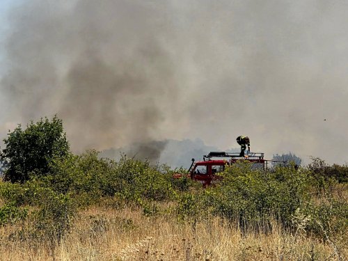 Извънредно: Голям пожар край Асеновград затвори пътя за Кърджали (ВИДЕО)