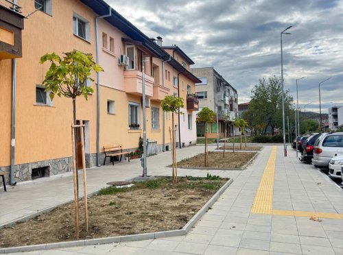 Започна озеленяването на ремонтираните улици в Момчилград