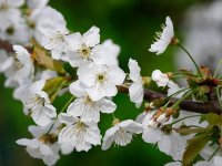 Времето в Кърджали на 17 април: Денят ще бъде с разкъсана облачност. Следобед се очаква повече слънце