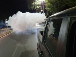 Кърджали влиза в нощна обработка срещу комари и кърлежи: затворете прозорците