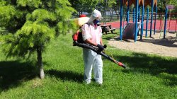 На 30 юли пръскат срещу комари в Ардино