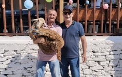 Изселник от Бурса си тръгна от събор в Родопите с агне: печелившият номер беше 559