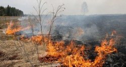 Три пожара за ден в областта: два тръгнали от човешка небрежност