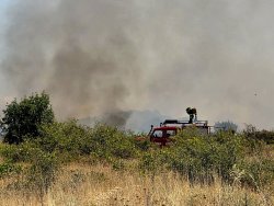 21 декара в пламъци край Крумовград: пожарът тръгна от небрежност, спасиха 2 декара тютюн