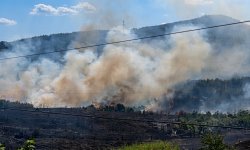 Пожар край Кърджали: пламнаха 20 декара сухи треви и храсти