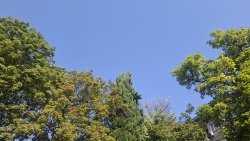 Слънце и 32&deg;C в Кърджали: ден без валежи, със слаб вятър