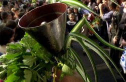 РУО &ndash; Кърджали обяви конкурс за директори на 13 училища в областта